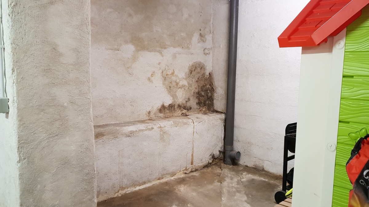 Infiltrations d'eau - Expertise humidité à Chartres